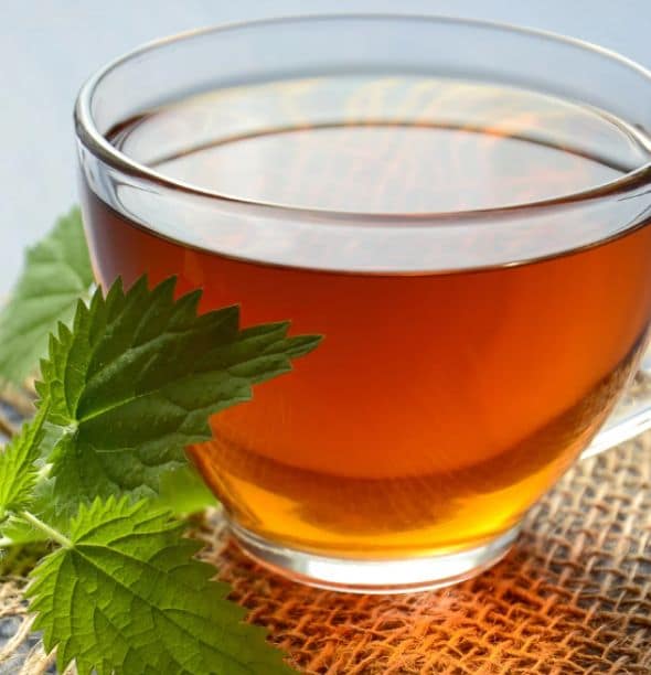 Coriander Seed Water Path Wellbeing